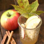 Cozy Up with Warm Vegan Apple Cider: A Seasonal Delight
