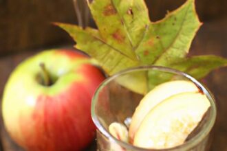Cozy Up with Warm Vegan Apple Cider: A Seasonal Delight