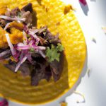 Elk Tacos Unwrapped: A Wild Twist on Classic Flavors
